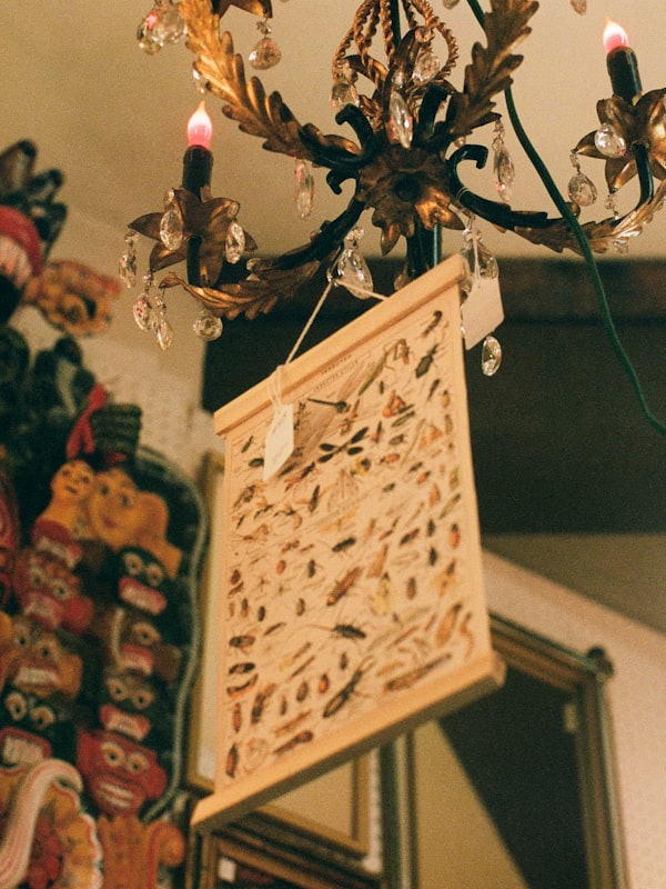 Darėja — Plungė, Telšių g. 104